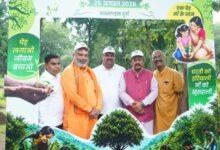 बोरसीभाठा में हरियाली का वन महोत्सव महाअभियान, 12 हेक्टेयर में सजे 3,500 नए पौधे...