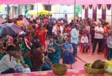 रिसाली में भोजली की हरियाली संग गूंजे लोकगीत, आस्था और परंपरा का दिखा रंग...