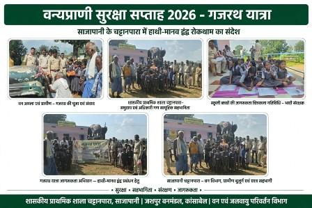 जशपुर में ‘गजरथ’ ने जगाई जागरूकता की अलख, हाथियों से सुरक्षित सह-अस्तित्व का दिया संदेश...
