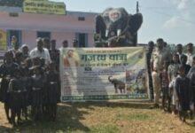 जशपुर में ‘गजरथ’ ने जगाई जागरूकता की अलख, हाथियों से सुरक्षित सह-अस्तित्व का दिया संदेश...