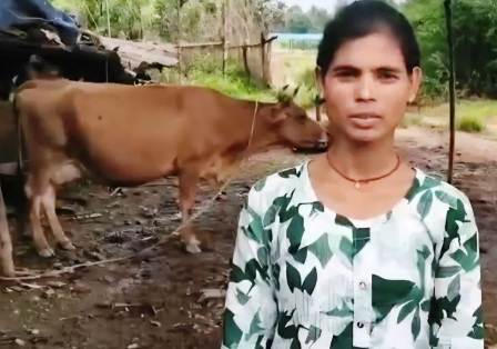 विशेष लेख : डेयरी, पशुपालन और मछली पालन से बदल रही सरगुजा के किसानों की तकदीर, ग्रामीण अर्थव्यवस्था को मिल रही नई मजबूती... 6 विशेष लेख : डेयरी, पशुपालन और मछली पालन से बदल रही सरगुजा के किसानों की तकदीर, ग्रामीण अर्थव्यवस्था को मिल रही नई मजबूती...