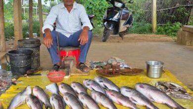 ’विशेष लेख’ : मत्स्य पालन से समृद्ध हो रही सरगुजा की ग्रामीण अर्थव्यवस्था, किसानों और महिलाओं के लिए खुल रहे स्वरोजगार के नए अवसर...