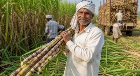 विशेष लेख : गन्ना मूल्य में छत्तीसगढ़ देश में नंबर वन...