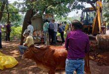 भिलाई के सेक्टर-10 में बीएसपी की बड़ी कार्रवाई, 13 हजार वर्गफीट जमीन से हटाया अतिक्रमण...