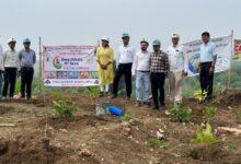 नंदिनी माइंस में सघन वृक्षारोपण, हरित क्षेत्र के विस्तार के साथ पर्यावरण संरक्षण का दिया संदेश...