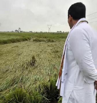 अर्नब चक्रवात से फसल बर्बाद होने पर किसानों को मुआवजा और कर्जमाफी मिले: विधायक देवेंद्र यादव ने मुख्यमंत्री को लिखा पत्र...